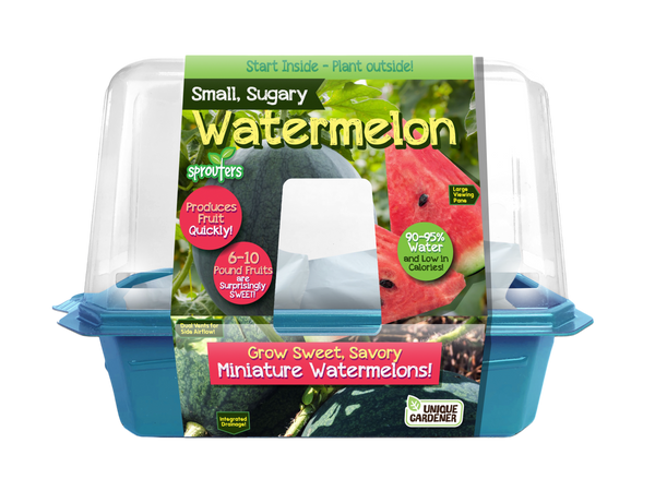 Small, Sugary Watermelon Sprouter Terrarium