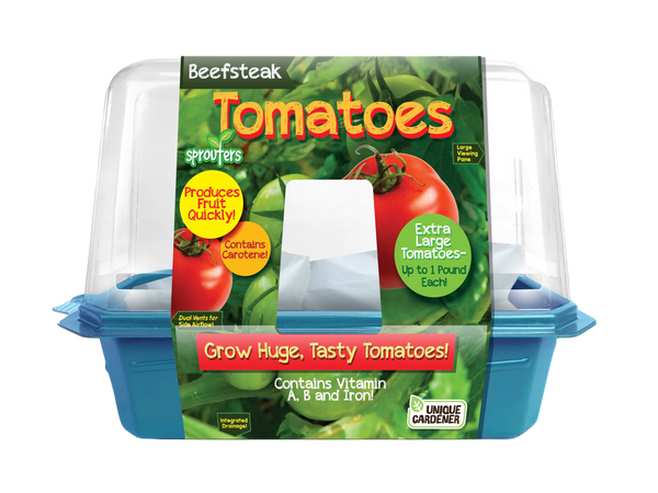 Beefsteak Tomatoes Sprouter Terrarium