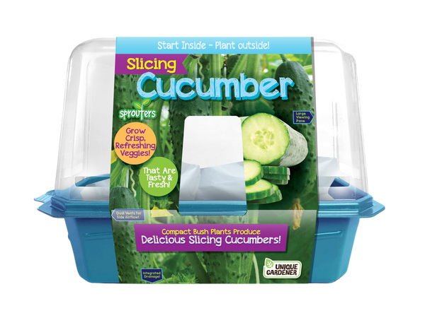 Slicing Cucumbers Sprouter Terrarium