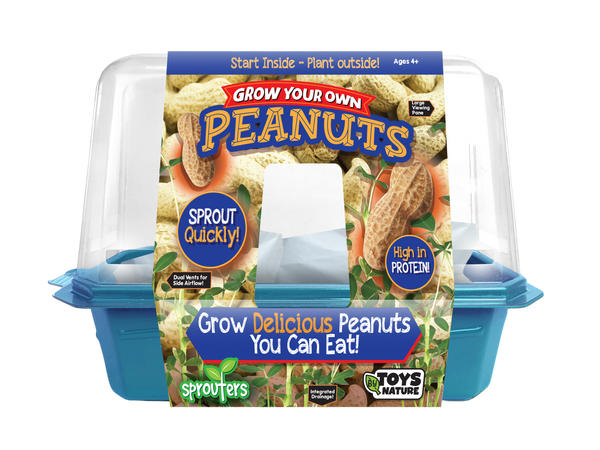 Grow Your Own Peanuts Sprouter Terrarium