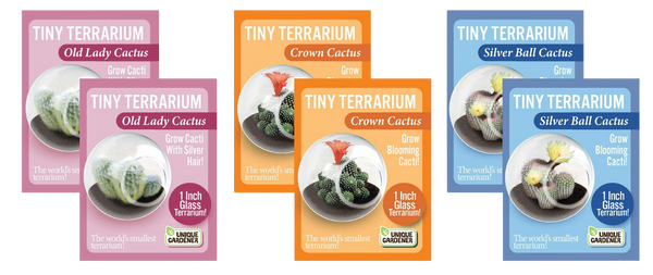 Flowering Cacti Tiny Terrariums Bundle - 2 each of 3 Varieties