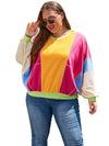 Rose Red Plus Size Colorblock Patchwork Exposed Seam Sweatshirt