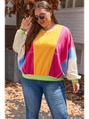 Rose Red Plus Size Colorblock Patchwork Exposed Seam Sweatshirt