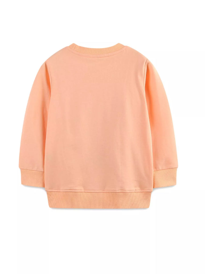 ca2dd3f5-2fa6-498f-9bb3-124096d19505-Max-Origin