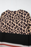 Brown Leopard Striped Color Block Long Sleeve Top