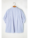 Sky Blue Stripe Dolman Sleeve Oversized Blouse