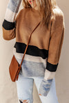 Brown Casual Striped Colorblock Ribbed Knit Sweater