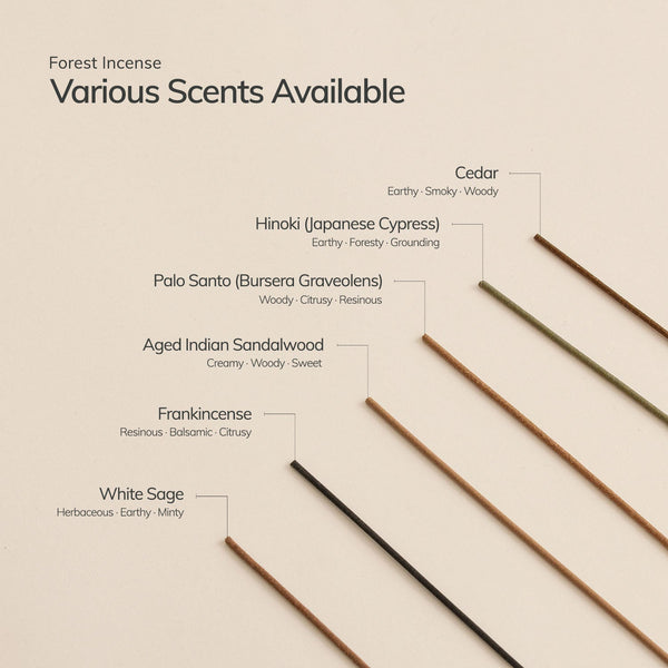 Hinoki Japanese Incense Stick Set – 30 Sticks with Ceramic Holder