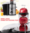28199470 900W Multi-function electric juicer juice 0.8L, 1.5L slag cup without BPA fruit and vegetable juice, modern vertical mixing kitchen juicer, secondary mechanical