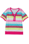 Rose Stripe Colorblock Plus Size Knit Henley Top