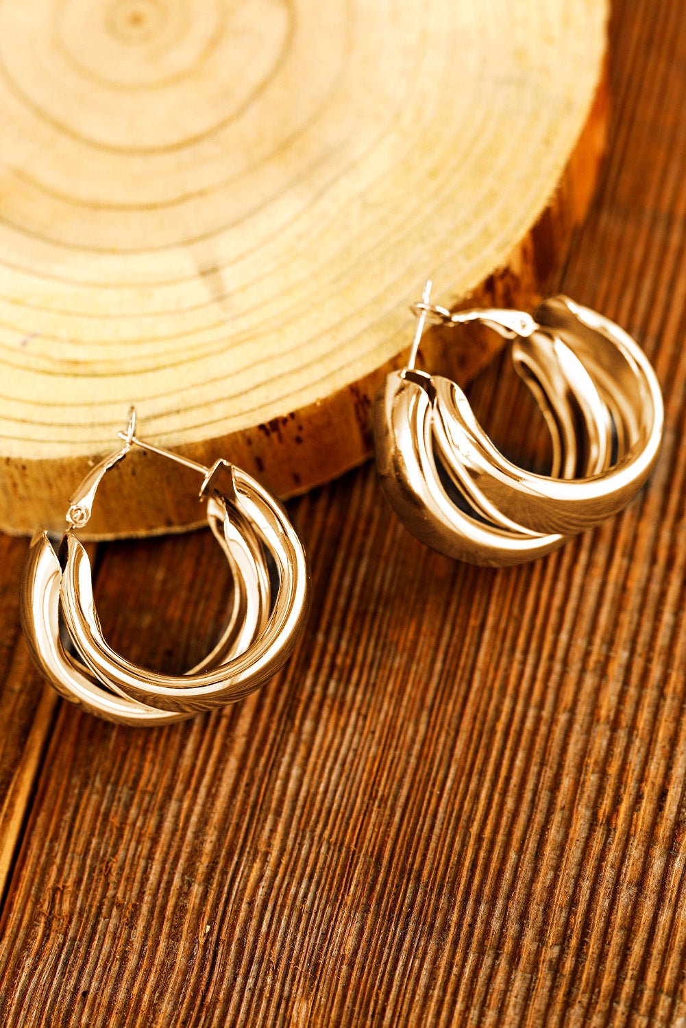 Silvery Layered Hoop Dangle Earrings