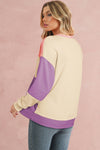 Sky Blue Colorblock Drop Shoulder Sweatshirt