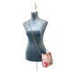 Nouveaux Amoureux de Paris Vintage Scarf Crossbody Bag