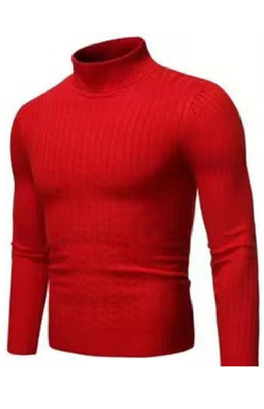 Classic Long Sleeve Turtleneck Sweater