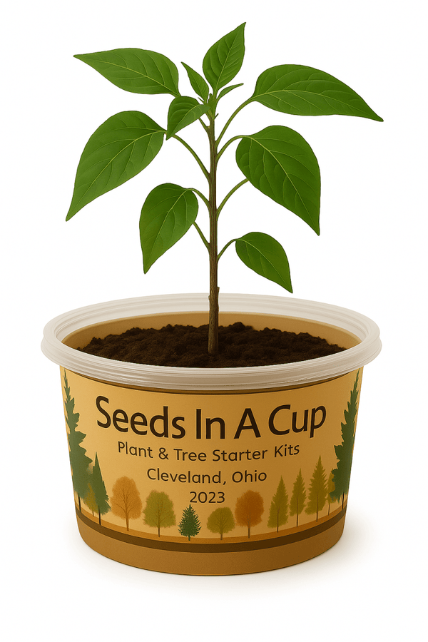 Jalapeño Plant Grow Kit  |  Seeds In A Cup® |