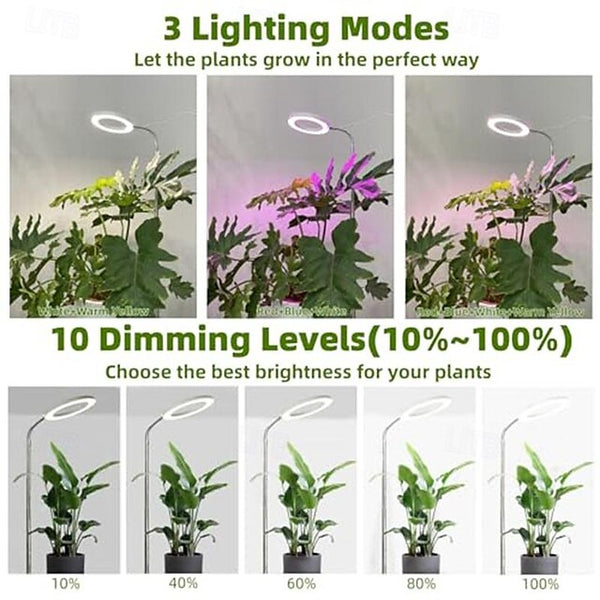 https://litb-cgis.rightinthebox.com/images/640x640/202404/bps/product/inc/phqoui1713168423347.jpg