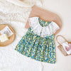 Baby Girl Floral Print Lace Patchwork Design O-Neck Dress