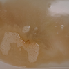 Bath Soak
