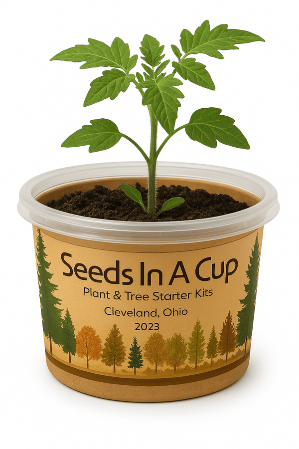 Squash | Plant Seed Starter Grow Kit | Seeds In A Cup®