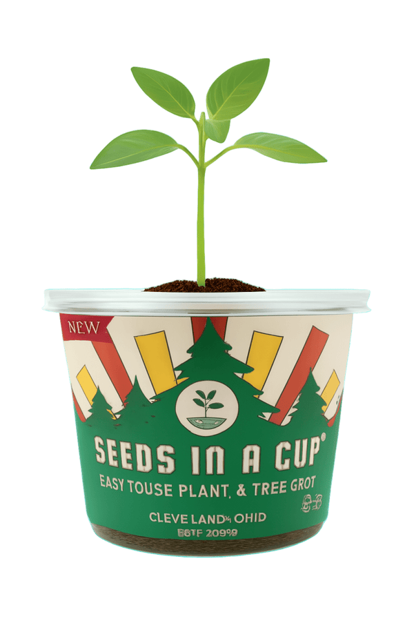 Sweet Corn | Plant Seed Starter Grow Kit | Seeds In A Cup®