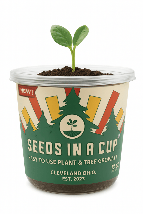 Onion | Plant Seed Starter Grow Kit | Seeds In A Cup®